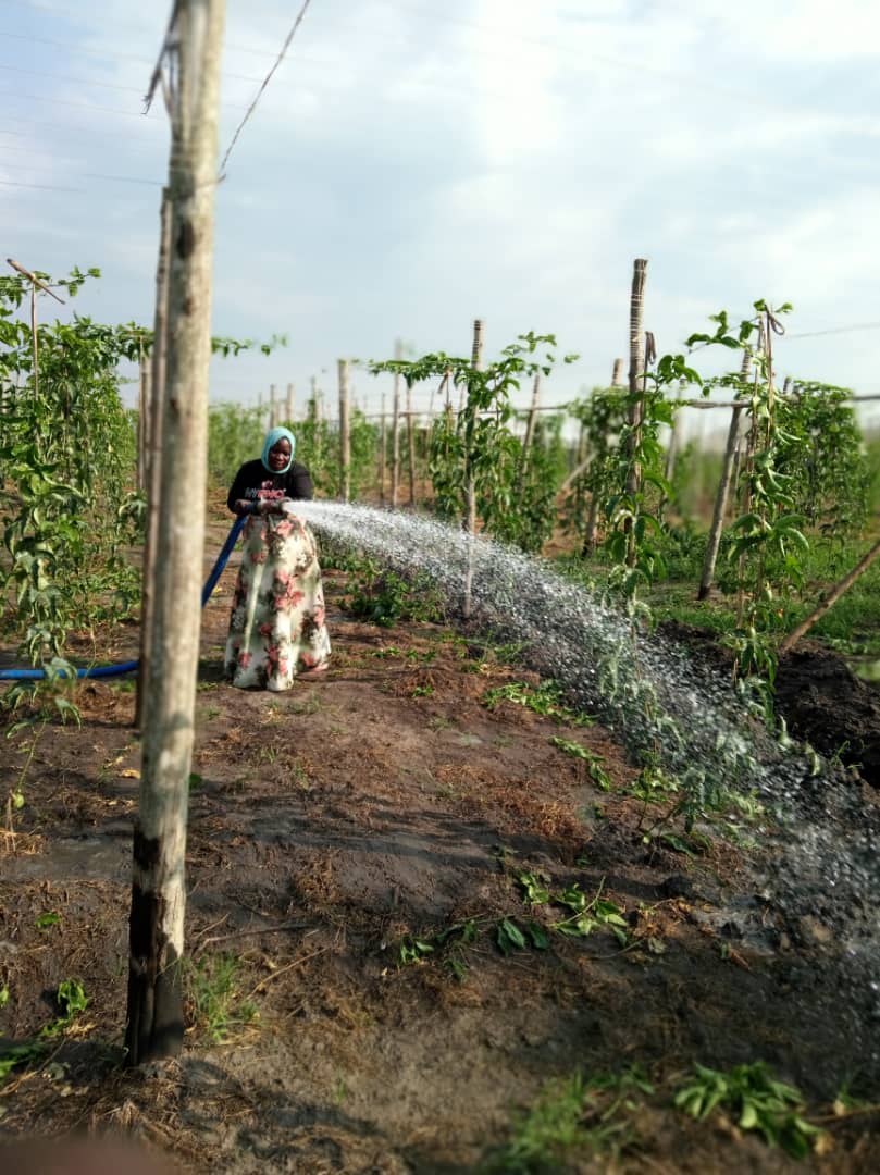 SPRINKLER IRRIGATION EQUIPMENT IN BBAALE SUB COUNTY